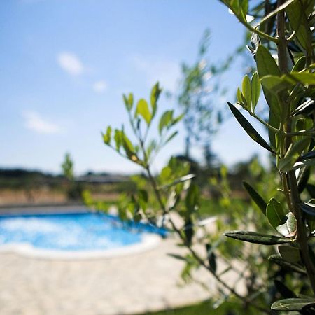 Marceta - Apartments & Rooms With Swimming Pool Fažana エクステリア 写真