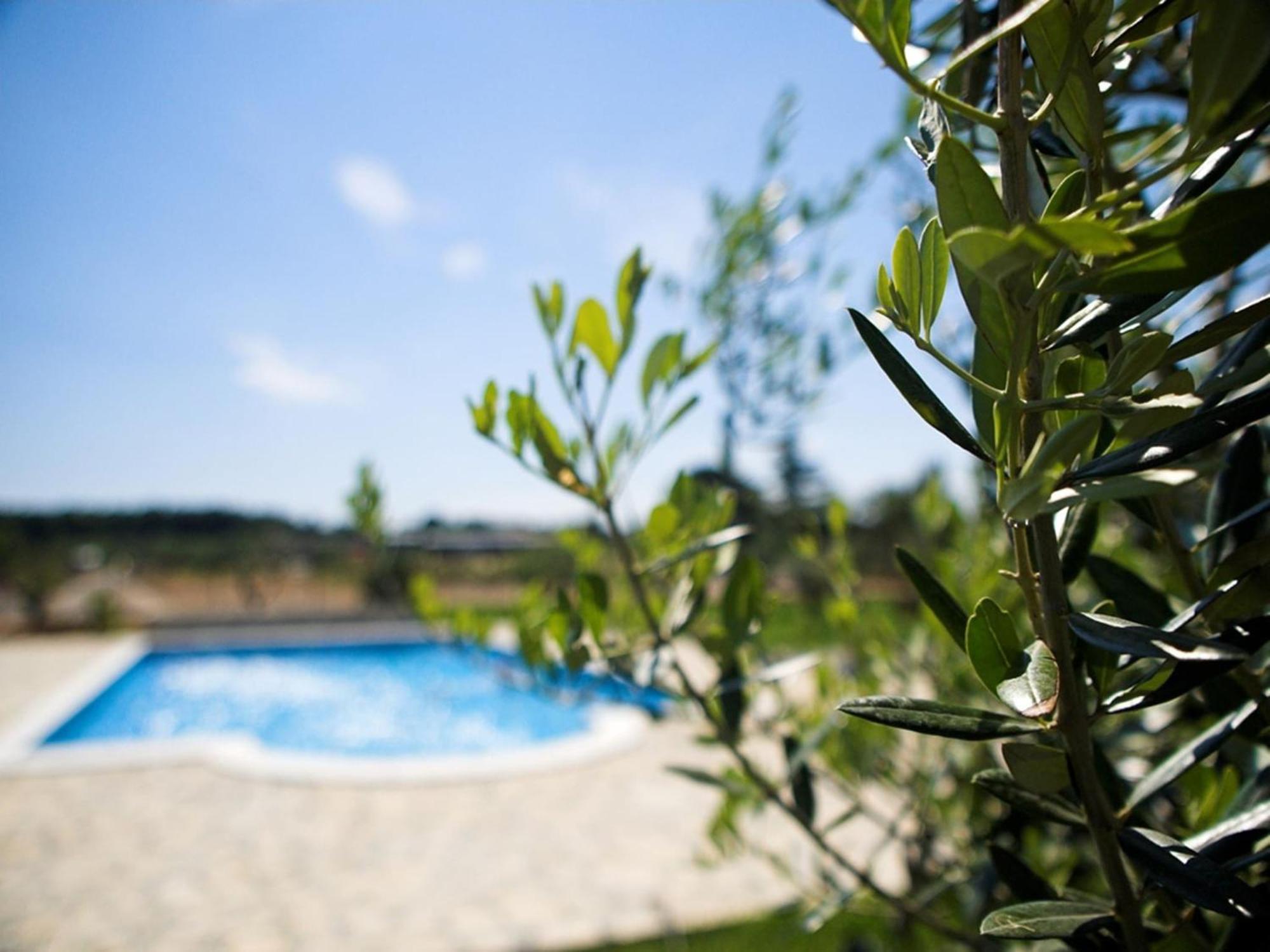Marceta - Apartments & Rooms With Swimming Pool Fažana エクステリア 写真